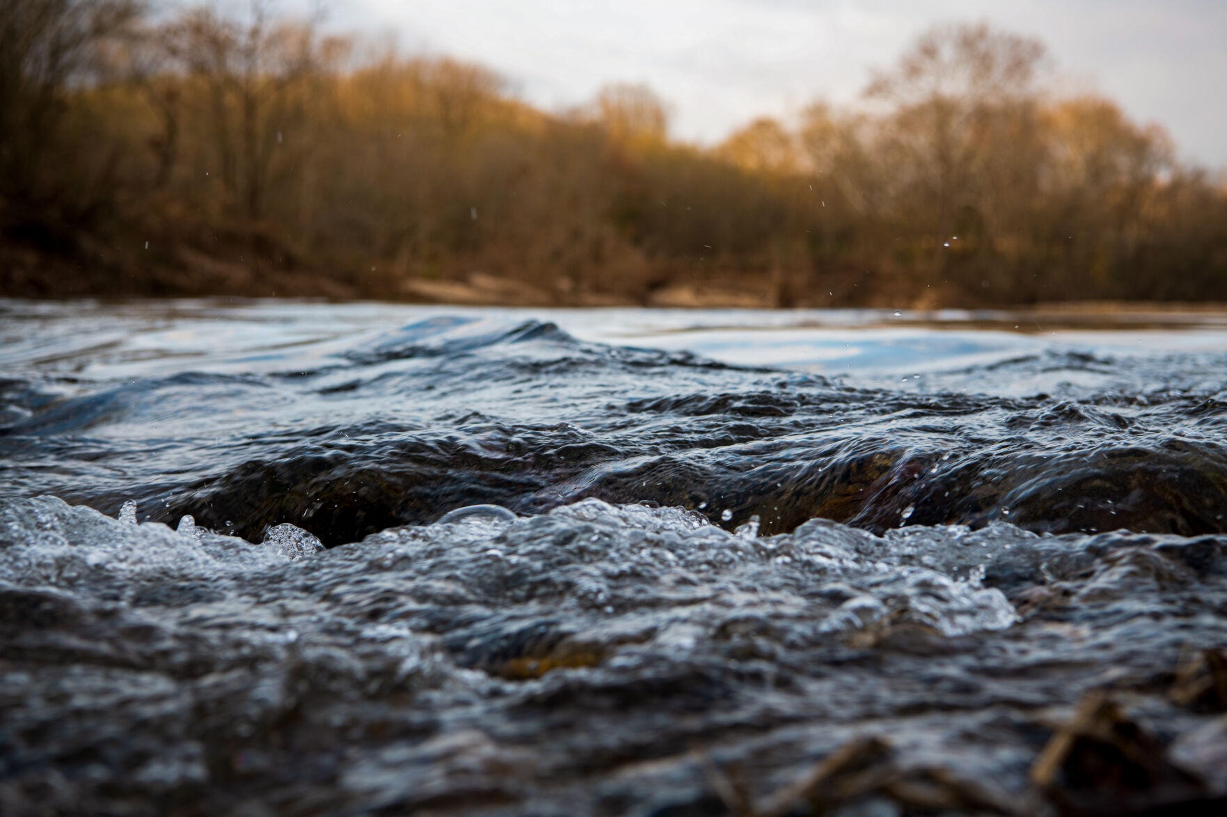A riffle in the Buffalo River just upstream of a mussel testing site